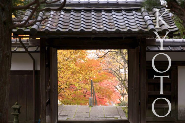 穴場でゆっくりもみじ狩り！紅葉がきれいな京都の名所