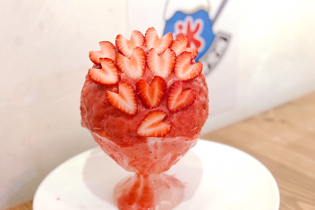 芸能人も大絶賛!かき氷研究所に行ってみた