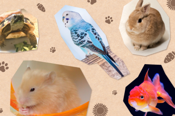 これで準備は完璧!大学生の一人暮らしで人気のペットと飼う時の注意点