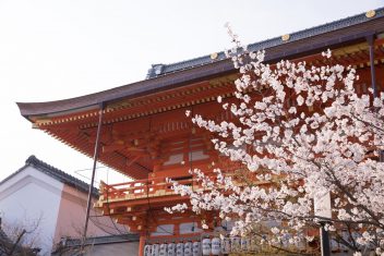 京都好き必見!京都検定って?