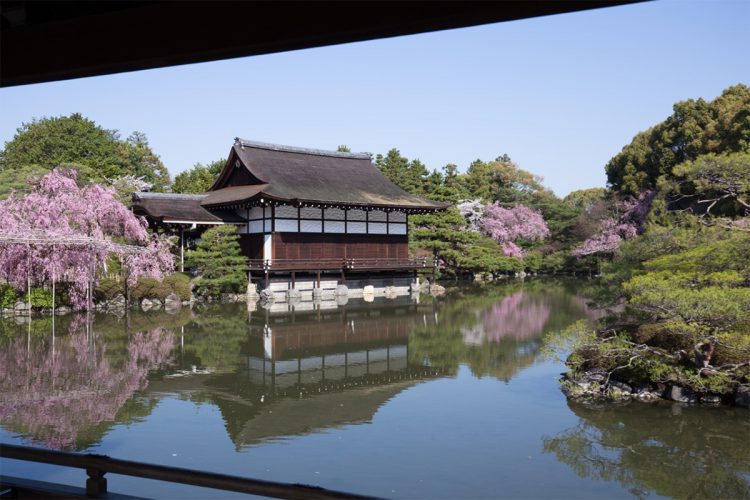 桜の名所！平安神宮神苑