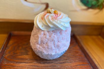 きれいになるかき氷!かき氷専門店&スイーツ えびす