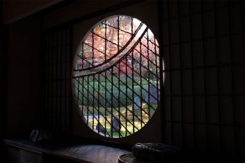 もみじが美しい苔の虹寺 光明院