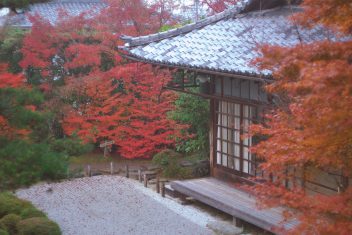 松尾芭蕉ゆかりの地!紅葉の隠れた名所 金福寺