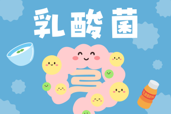 乳酸菌の摂取で腸内環境改善！？お勧めの摂取方法！